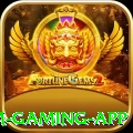 46e Premium Gaming App