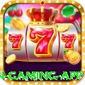 528cpf Champion Gaming App