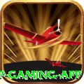 99vv VIP Gaming App